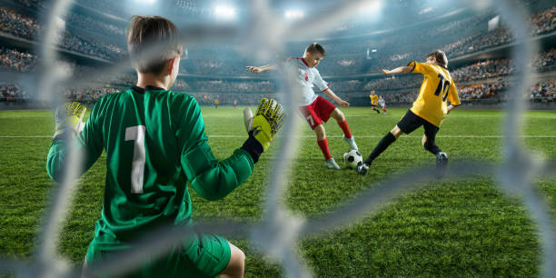 稳定的表现 稳定的表现